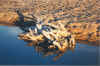 photo of driftwood