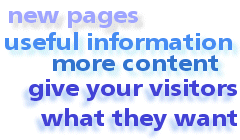 web site maintenance - give your visitors want they want!